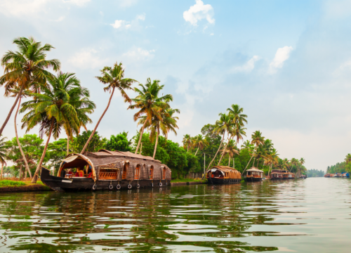 Different Types of boats in Alleppey Backwaters